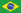 Português brasileiro