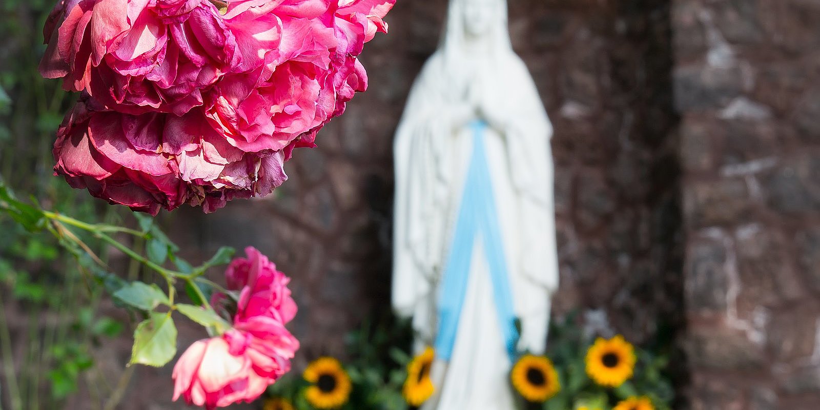Défi du mois de mai : 3 millions de roses "spirituelles" pour Marie 