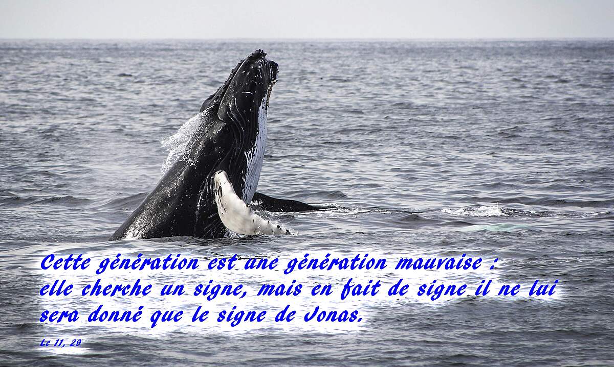 Résultat de recherche d'images pour "Luc 11,29-32"