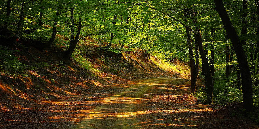 Jésus aujourd'hui : évangile et commentaire  - Page 2 Road-1345716_960_720GIMP